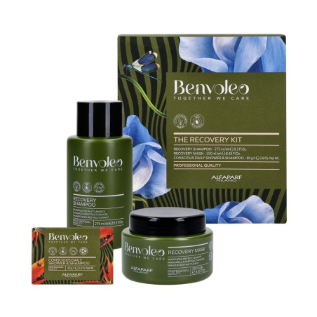 ALFAPARF MILANO BENVOLEO RECOVERY REESTRUCTURANTE CAPILAR KIT Hair ...